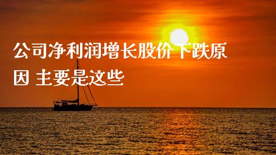 公司净利润增长股价下跌原因 主要是这些