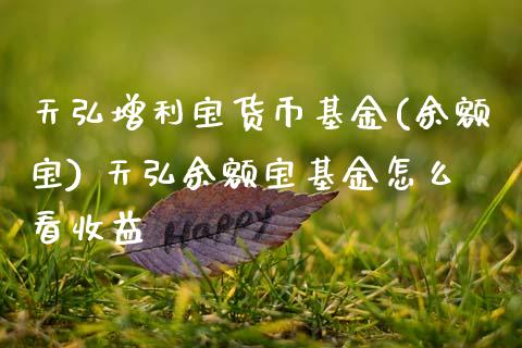 天弘增利宝货币基金(余额宝) 天弘余额宝基金怎么看收益