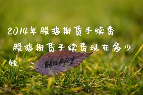 2014年股指期货手续费 股指期货手续费现在多少钱