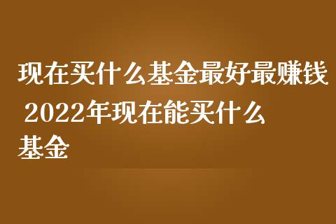 现在买什么基金最好最赚钱 2022年现在能买什么基金