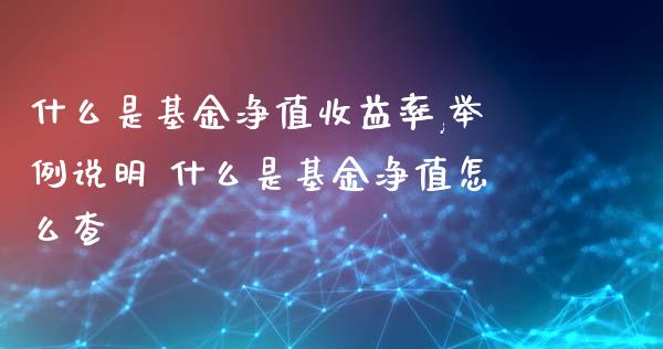 什么是基金净值收益率,举例说明 什么是基金净值怎么查