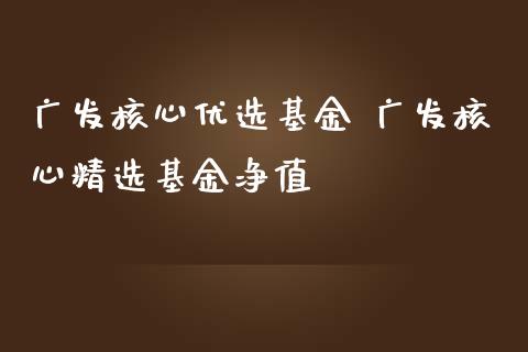 广发核心优选基金 广发核心精选基金净值