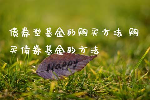 债券型基金的购买方法 购买债券基金的方法