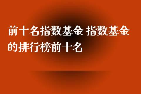 前十名指数基金 指数基金的排行榜前十名
