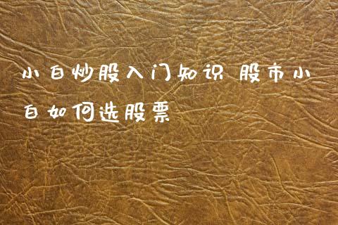 小白炒股入门知识 股市小白如何选股票