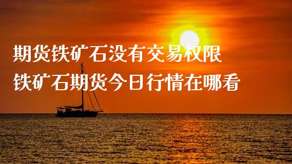 期货铁矿石没有交易权限 铁矿石期货今日行情在哪看