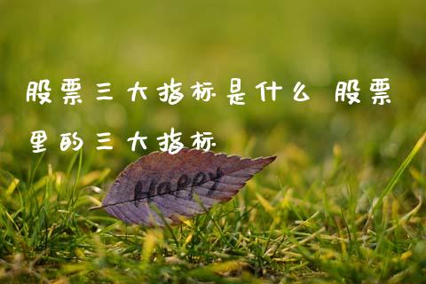 股票三大指标是什么 股票里的三大指标