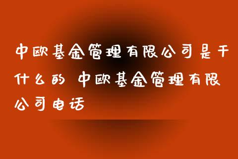 中欧基金管理有限公司是干什么的 中欧基金管理有限公司电话