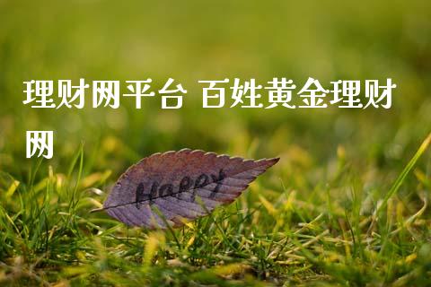理财网平台 百姓黄金理财网