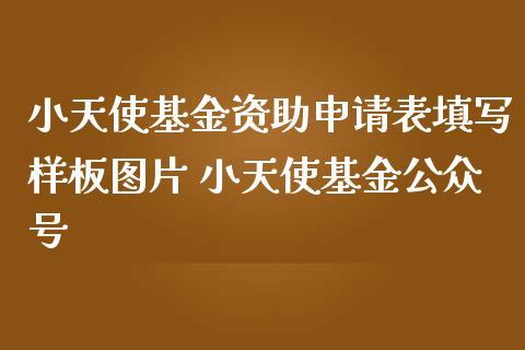 小天使基金资助申请表填写样板图片 小天使基金