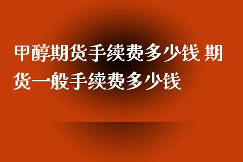 甲醇期货手续费多少钱 期货一般手续费多少钱