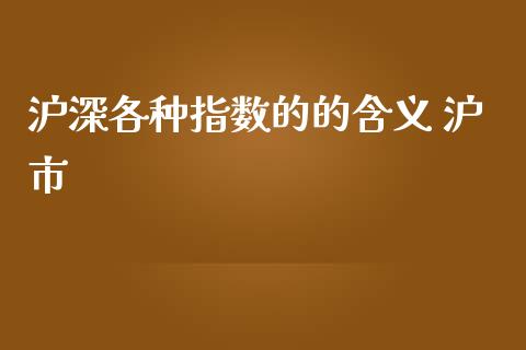 沪深各种指数的的含义 沪市