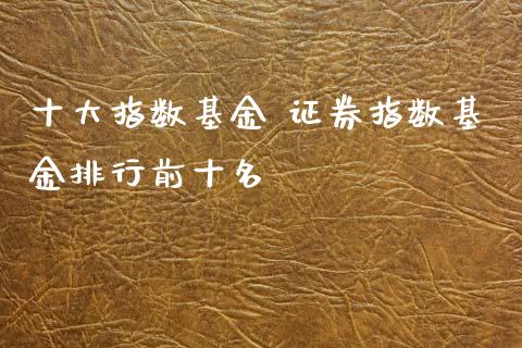 十大指数基金 证券指数基金排行前十名