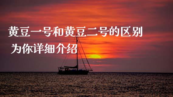 黄豆一号和黄豆二号的区别 为你详细介绍