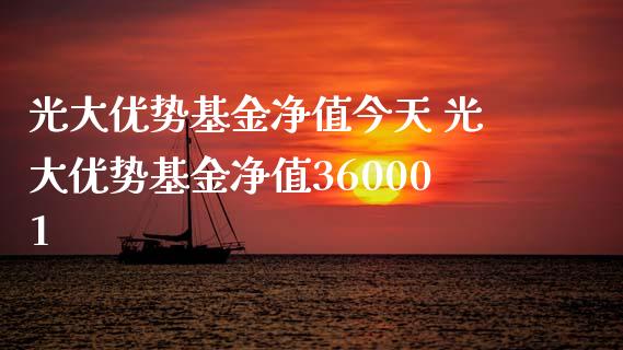 光大优势基金净值今天 光大优势基金净值360001