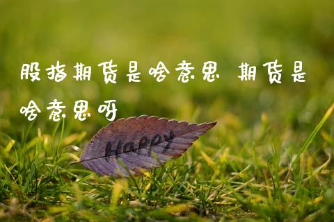 股指期货是啥意思 期货是啥意思呀