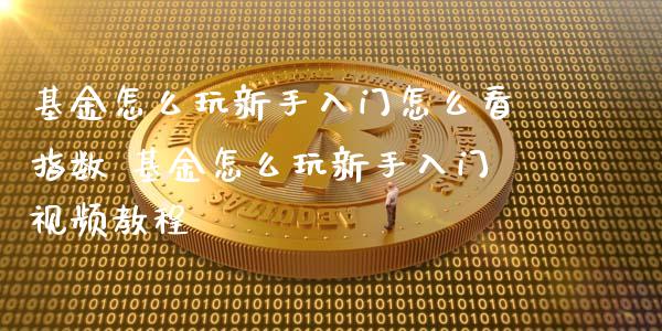 基金怎么玩新手入门怎么看指数 基金怎么玩新手入门视频教程