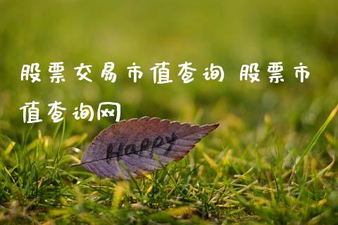 股票交易市值查询 股票市值查询网