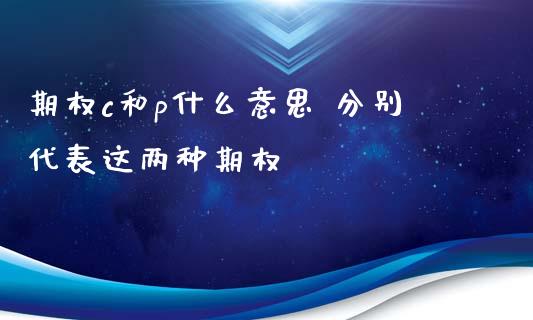期权c和p什么意思 分别代表这两种期权