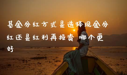 基金分红方式是选择现金分红还是红利再投资 哪个更好