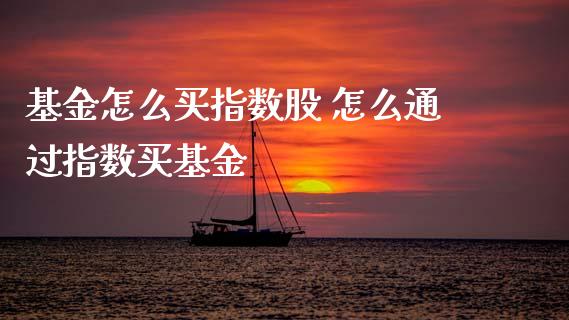 基金怎么买指数股 怎么通过指数买基金
