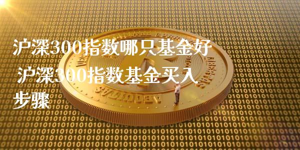 沪深300指数哪只基金好 沪深300指数基金买入步骤