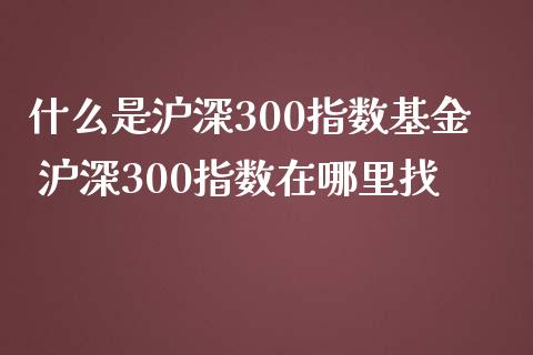 什么是沪深300指数基金 沪深300指数在哪里找