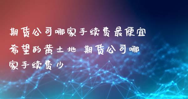 期货公司哪家手续费最便宜希望的黄土地 期货公司哪家手续费少