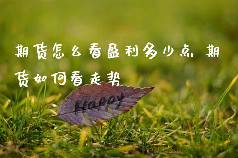 期货怎么看盈利多少点 期货如何看走势
