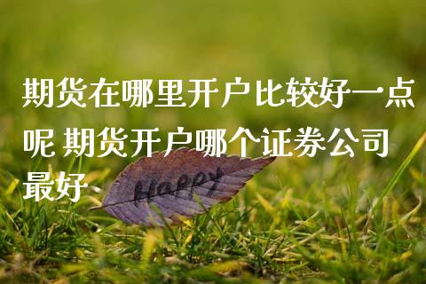 期货在哪里开户比较好一点呢 期货开户哪个证券公司最好