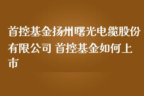 首控基金扬州曙光电缆股份有限公司 首控基金如何上市