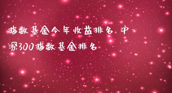 指数基金今年收益排名 沪深300指数基金排名
