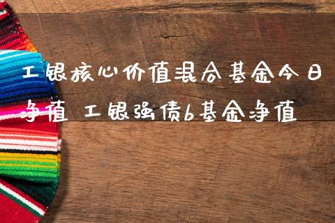 工银核心价值混合基金今日净值 工银强债b基金净值