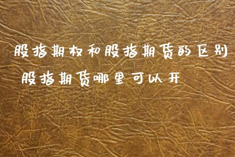 股指期权和股指期货的区别 股指期货哪里可以开