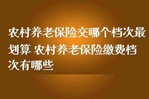 农村养老保险交哪个档次最划算 农村养老保险缴费档次有哪些