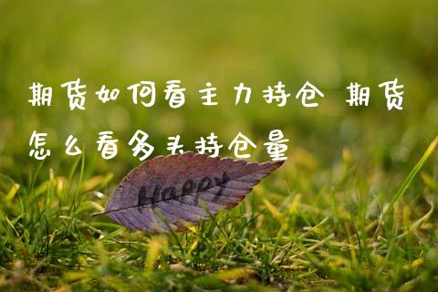 期货如何看主力持仓 期货怎么看多头持仓量