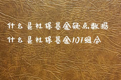 什么是社保基金疑点数据 什么是社保基金101组合