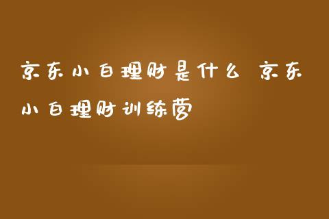 京东小白理财是什么 京东小白理财训练营