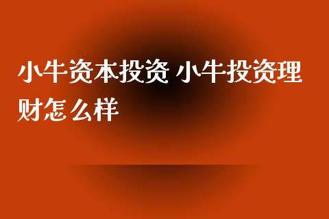小牛资本投资 小牛投资理财怎么样