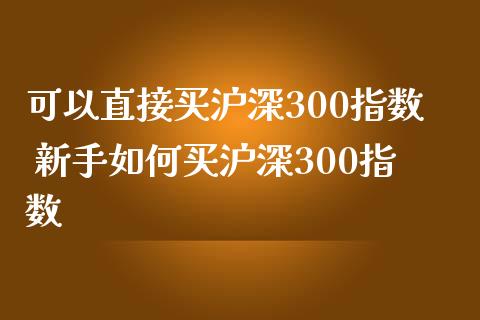 可以直接买沪深300指数 新手如何买沪深300指数
