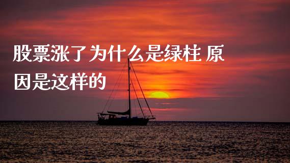 股票涨了为什么是绿柱 原因是这样的