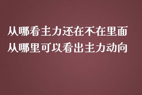 从哪看主力还在不在里面 从哪里可以看出主力动向