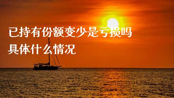 已持有份额变少是亏损吗 具体什么情况