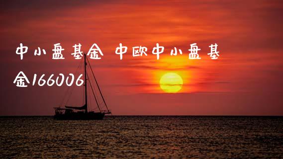 中小盘基金 中欧中小盘基金166006