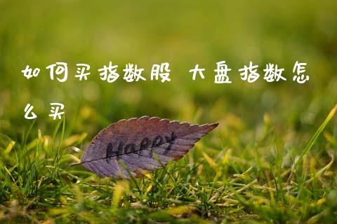 如何买指数股 大盘指数怎么买