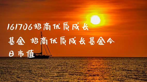 161706招商优质成长基金 招商优质成长基金今日市值