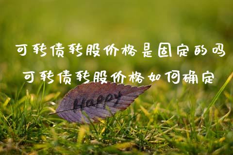 可转债转股价格是固定的吗 可转债转股价格如何确定