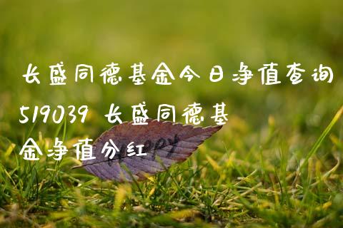 长盛同德基金今日净值查询519039 长盛同德基金净值分红