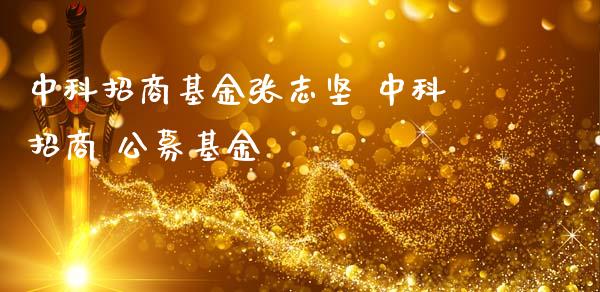 中科招商基金张志坚 中科招商 公募基金
