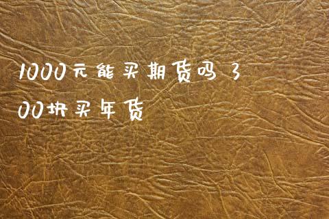 1000元能买期货吗 300块买年货